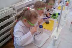 delfinki-i-nowa-technika-laboratoryjna-saczenie-08