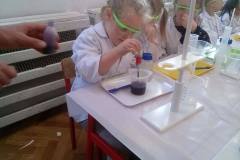 delfinki-i-nowa-technika-laboratoryjna-saczenie-11