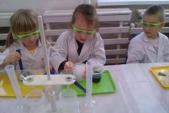 delfinki-i-nowa-technika-laboratoryjna-saczenie-15