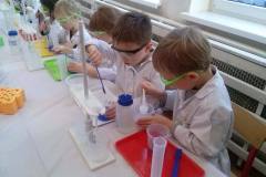 delfinki-i-nowa-technika-laboratoryjna-saczenie-17