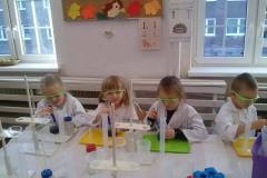 delfinki-i-nowa-technika-laboratoryjna-saczenie-22
