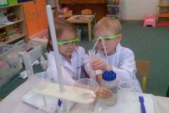 delfinki-i-nowa-technika-laboratoryjna-saczenie-25