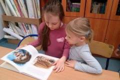 delfinki-i-odwiedziny-w-bibliotece-szkolnej-09