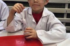 delfinki-i-smart_lab-12