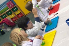 delfinki-i-smart_lab-15