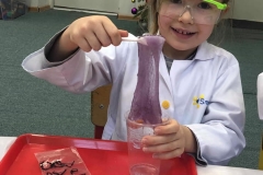 delfinki-i-smart_lab-17