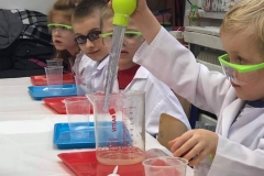 delfinki-i-smart_lab-18