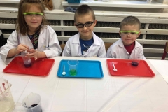 delfinki-i-smart_lab-19