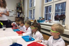 delfinki-i-smart_lab-21
