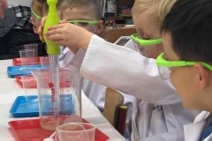 delfinki-i-smart_lab-22