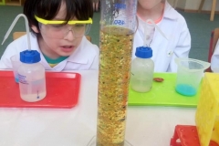 delfinki-i-zajecia-ze-smart_lab-01