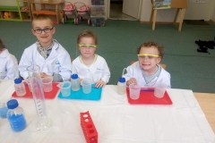 delfinki-i-zajecia-ze-smart_lab-04