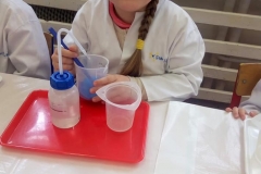 delfinki-i-zajecia-ze-smart_lab-05