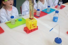 delfinki-i-zajecia-ze-smart_lab-06