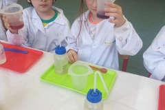 delfinki-i-zajecia-ze-smart_lab-07