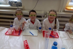 delfinki-i-zajecia-ze-smart_lab-08