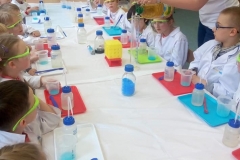 delfinki-i-zajecia-ze-smart_lab-12