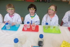 delfinki-i-zajecia-ze-smart_lab-13