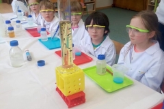 delfinki-i-zajecia-ze-smart_lab-14