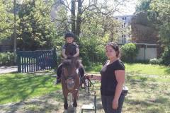 delfinki-na-kucykach_3-09