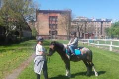 delfinki-na-kucykach_2-07