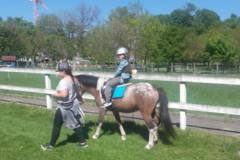 delfinki-na-kucykach_2-09