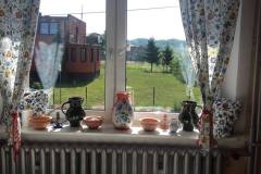 delfinki-na-wycieczce-w-zagrodzie-soltysowka-w-lapalicach-23