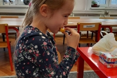 delfinki-podczas-zajec-14