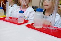 delfinki-zabawy-z-gipsu-na-zajeciach-smart_lab-02