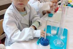 delfinki-zabawy-z-gipsu-na-zajeciach-smart_lab-03