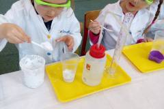 delfinki-zabawy-z-gipsu-na-zajeciach-smart_lab-06