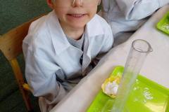 delfinki-zabawy-z-gipsu-na-zajeciach-smart_lab-09