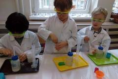 delfinki-zabawy-z-gipsu-na-zajeciach-smart_lab-10