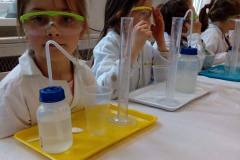 delfinki-zabawy-z-gipsu-na-zajeciach-smart_lab-11