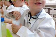 delfinki-zabawy-z-gipsu-na-zajeciach-smart_lab-12