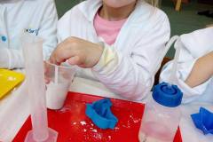 delfinki-zabawy-z-gipsu-na-zajeciach-smart_lab-13