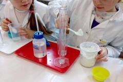 delfinki-zabawy-z-gipsu-na-zajeciach-smart_lab-17