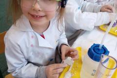 delfinki-zabawy-z-gipsu-na-zajeciach-smart_lab-18