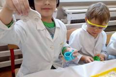 delfinki-zabawy-z-gipsu-na-zajeciach-smart_lab-19