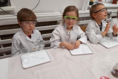 delfiny-i-zajecia-smart_lab-1-06
