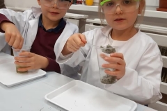 delfiny-i-zajecia-smart_lab-1-08