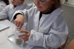 delfiny-i-zajecia-smart_lab-1-13