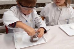 delfiny-i-zajecia-smart_lab-1-14