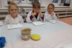 delfiny-i-zajecia-smart_lab-1-17