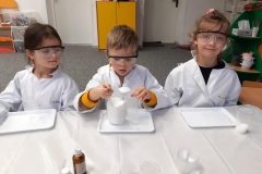 delfiny-i-zajecia-smart_lab-1-23