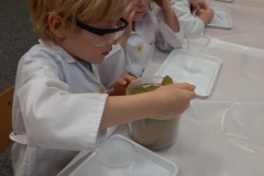 delfiny-i-zajecia-smart_lab-1-25