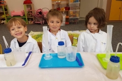Delfiny i zajęcia ze Smart_ Lab