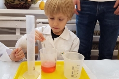 delfiny-i-zajecia-smart_lab-10