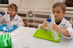delfiny-i-zajecia-smart_lab-14