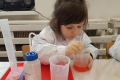 delfiny-i-zajecia-smart_lab-15